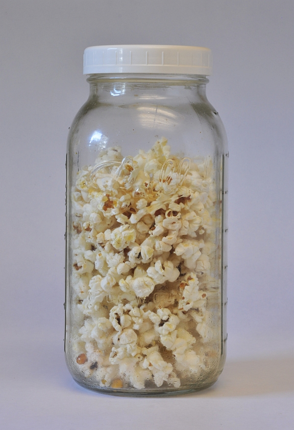 Popped corn in glass jar.